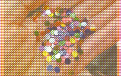 Exposition Collective